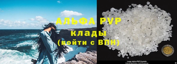 молекула духа Аркадак