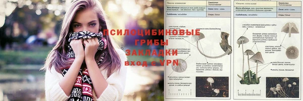 кокс Арсеньев