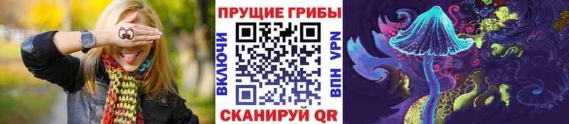 Галлюциногенные грибы Psilocybe  Суоярви 
